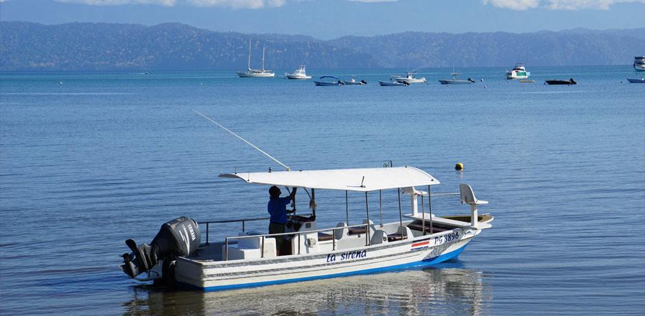 Cabinas Jimenez Puerto Jiménez Zewnętrze zdjęcie